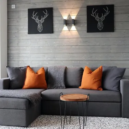 Tunturinlaita D6 Levi