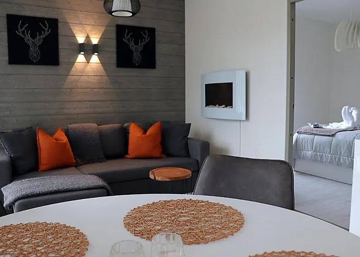 Tunturinlaita D6 Levi