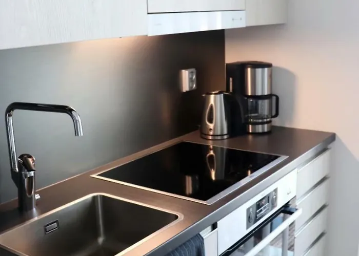 Tunturinlaita D6 Levi